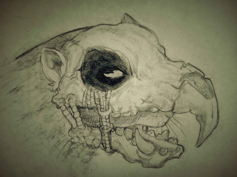 Untitled Untitled